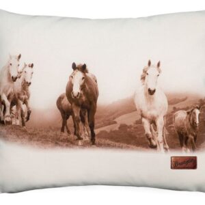 Running Horses Pillow